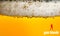 Blonde beer with foam in a transparent glass. Beautiful colors and a beautiful texture. The message `your blonde`