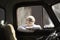 Blonde Boy with glasses looking through old truck window