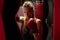 Blonde Caucasian fighter girl in Red Boxing Gloves is posing on Fight club boxing ring