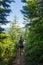 A blonde female hiker makes her way through the forest on the Mirror Lake Trail in the Mount Hood National Forest