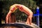 Blonde girl in bikini stands in bridge position on arch ladder