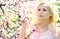 Blonde Girl with Cherry Blossom. Spring