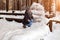 A blonde girl in a gray hat and a dark blue jacket in the winter in the forest is sitting in a snowdrift and throws her snow into