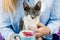 Blonde girl in jeans shirt holding a blue cappuccino cup and play with cute cat