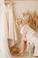 Blonde girl plus size sitting on the bed in white lingerie portrait of Bali morning bride
