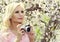 Blonde Girl with Retro Camera over Sakura. Beautiful Young Woman