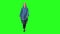 Blonde teenager girl calmly walking on green screen background. Chroma key, 4k shot. Front view.