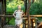 A blonde in tight beige dress stands by the gazebo in the forest