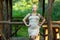 A blonde in tight beige dress stands by the gazebo in the forest