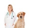 Blonde veterinary with a nice Labrador Retriever