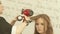 Blonde woman during hairstyling long hair with dryer and hairbrush in hairdressing salon. Close up haircutter drying