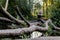 Blonde woman in sportswear practicing breathing yoga on a log over the forest river.