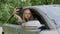 Blonde woman stoped car on road to take a selfie photo. Young tourist explore local travel making candid real moments