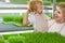 Blonde young woman and a little boy in identical aprons are having fun on a micro-greenery farm