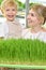 Blonde young woman and a little boy in identical aprons are having fun on a micro-greenery farm