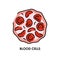 Blood cells color line icon. Microorganisms microbes, bacteria.