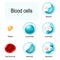 Blood cells. Red blood cells, White blood cells, and