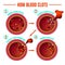 Blood clotting process