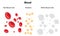 Blood Composition