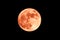 Blood Moon. Lunar eclipse. Super bright full moon with dark background. Madrid, Spain, Europe