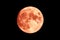 Blood Moon. Lunar eclipse. Super bright full moon with dark background. Madrid, Spain, Europe