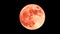 Blood Moon. Lunar eclipse. Super full moon. Super bright full moon with dark background. Madrid, Spain, Europe.