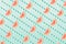 Blood orange pattern on aquamarine background