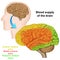 Blood supply of the human brain ,medical vector illustration