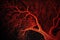 Blood vessels. Circulatory system. Veins and arteries. Generative AI.