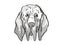 Bloodhound Dog Breed Cartoon Retro Drawing