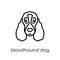 Bloodhound dog icon. Trendy modern flat linear vector Bloodhound