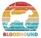 Bloodhound vintage color