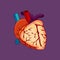Bloody Halloween parts - beating heart artery vein.