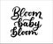 Bloom baby bloom inspirational and motivational lettering card. Vector illustration for prints, cases, textile, posters etc
