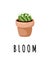 Bloom banner. Cactus potted succulent plant postcard. Cozy lagom scandinavian style poster