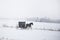 Bloomfield Iowa Amish horse and buggy in snow storm