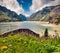 Bloomind flowers on the coast of Grimselsee reservoir on the top