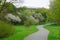 Blooming alley with trees in the park in Fulda