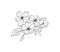 Blooming apple tree branch linear illustration