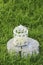 Blooming apple tree flowers in white vintage cage