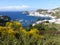 Blooming bay in the island of Ponza in Italy.