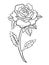 Blooming Beauty: Intricate Rose Illustration for Coloring Book
