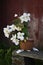 blooming begonia in a pot against the background of the red wall of a wooden traditional barn