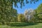 Blooming bird-cherry and apple trees