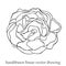 Blooming black contour rose isolated on the white background. Vector handdrawn illustration