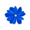 Blooming blue flower. Vector illustration on white background.
