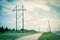 Blooming bluebonnet along country road with white picket fence and row of power pylons in Ennis, Texas, USA