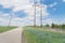 Blooming bluebonnet along country road with white picket fence and row of power pylons in Ennis, Texas, USA