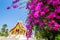 Blooming Bougainvillea flowers in front of Luang Prabang National Museum, Laos