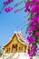 Blooming Bougainvillea flowers in front of Luang Prabang National Museum, Laos